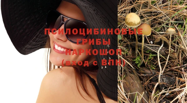дурь Белоозёрский