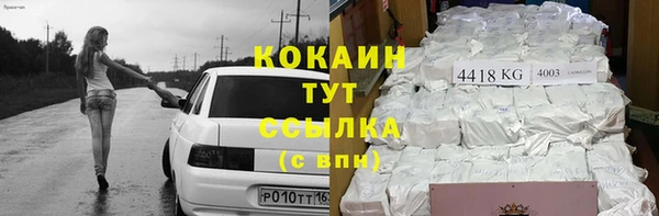 apvp Белокуриха