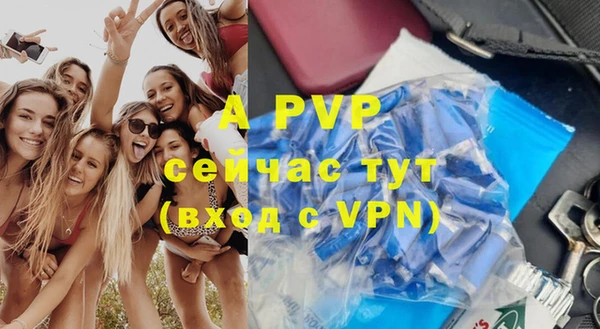 apvp Белокуриха