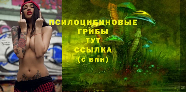 дурь Белоозёрский