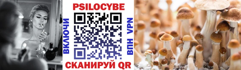 Псилоцибиновые грибы Cubensis  Мариинский Посад 